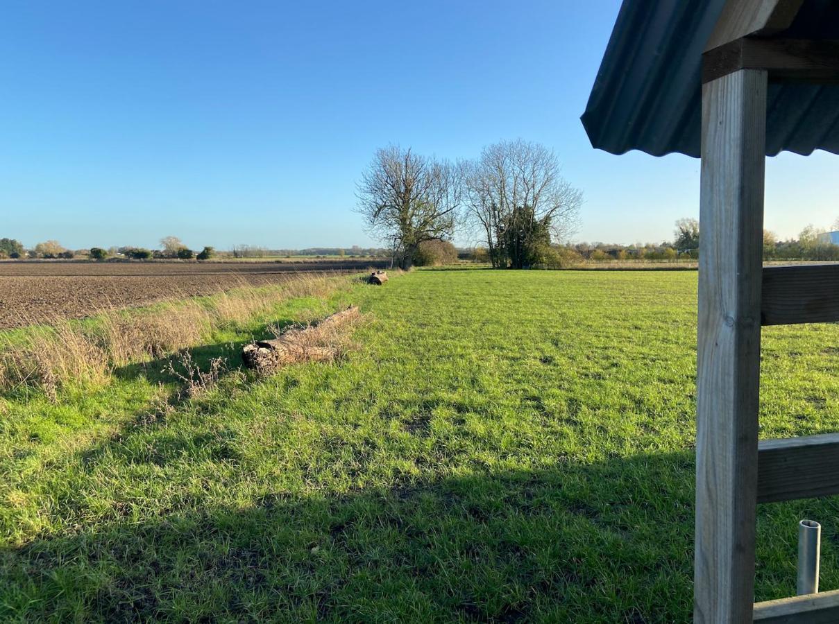 Fen Meadows Glamping - Luxury Cabins And Bell Tents Cambridge  Eksteriør bilde