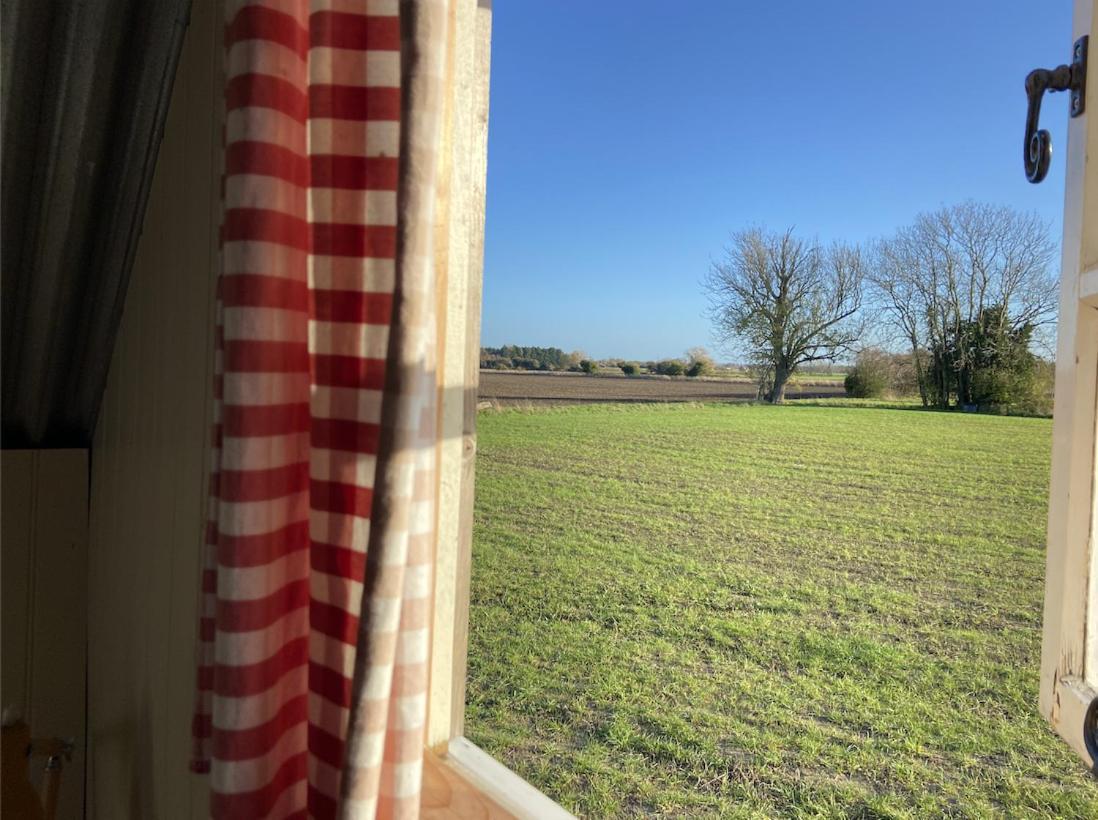 Fen Meadows Glamping - Luxury Cabins And Bell Tents Cambridge  Eksteriør bilde