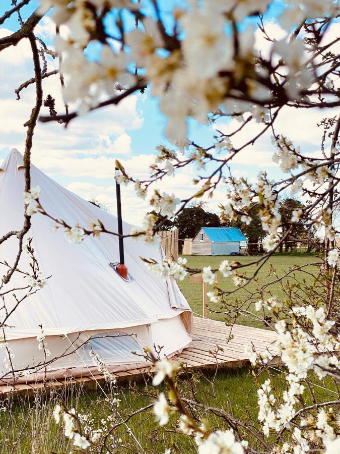 Fen Meadows Glamping - Luxury Cabins And Bell Tents Cambridge  Eksteriør bilde