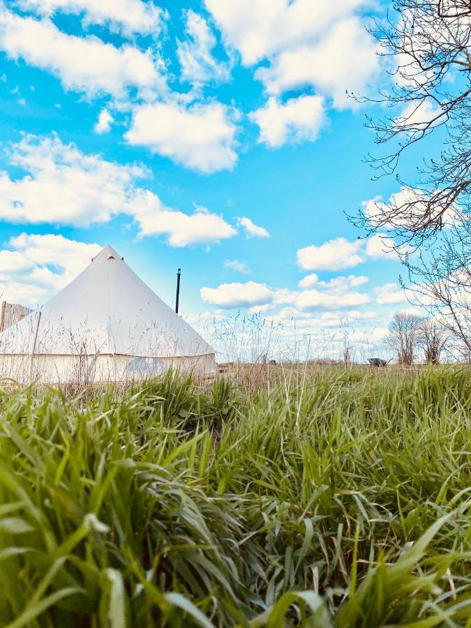 Fen Meadows Glamping - Luxury Cabins And Bell Tents Cambridge  Eksteriør bilde