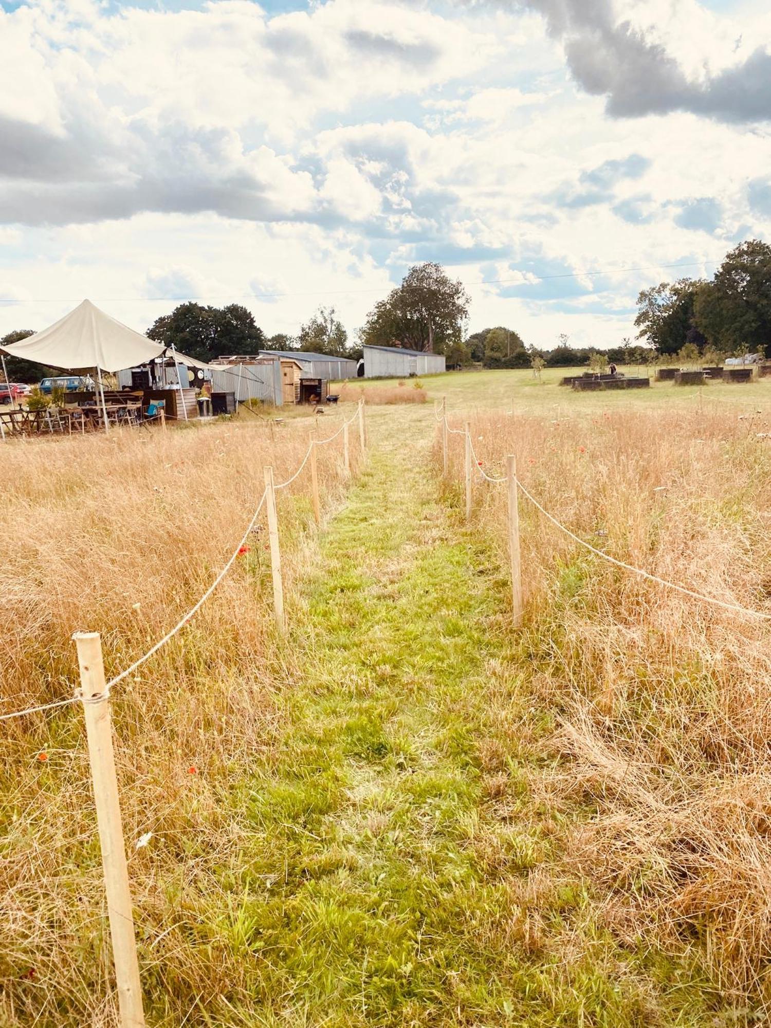 Fen Meadows Glamping - Luxury Cabins And Bell Tents Cambridge  Eksteriør bilde